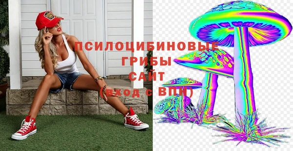 дурь Верхний Тагил